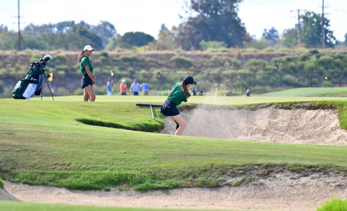 Paly Girls Golf Lose to Cupertino 277-279